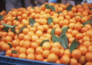 年齢確認をしているホストクラブ