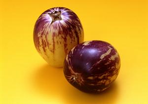 ミナミのホストクラブといえばここ