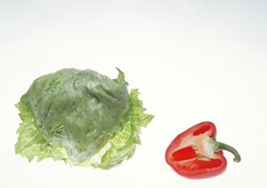 身近に感じることが出来るホスト